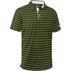 Z Green Striped
